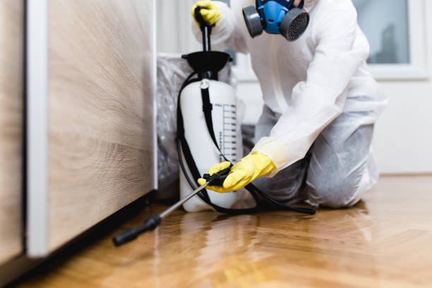 Best Ant Control Services  in Wheelersburg, OH