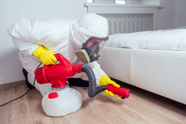 Best Flea Control Services  in Wheelersburg, OH