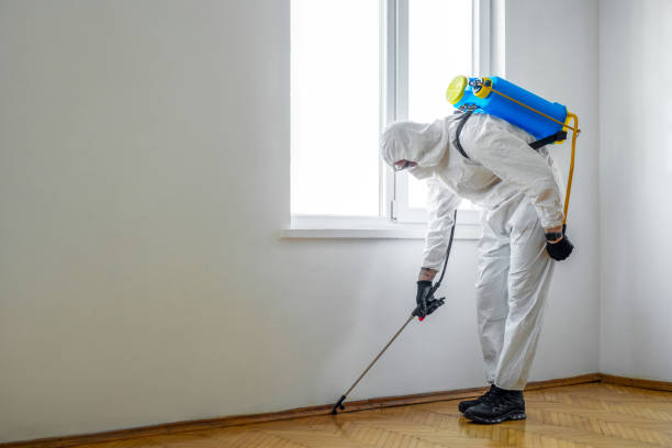 Best Pest Inspection Near Me  in Wheelersburg, OH