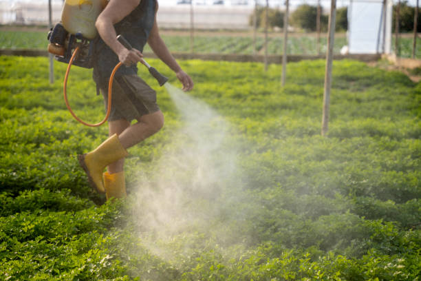 Best Mosquito Control Services  in Wheelersburg, OH