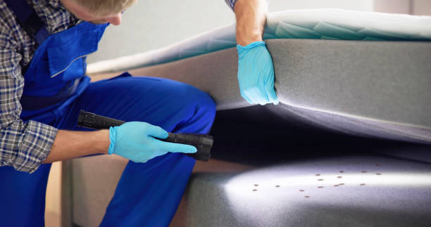 Trusted Wheelersburg, OH Pest Control Experts