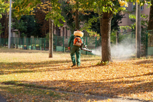 Best Pest Control Near Me in Wheelersburg, OH