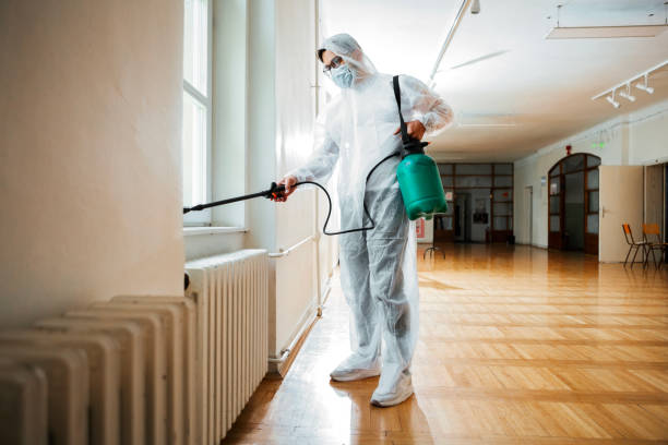 Best Cockroach Control Services  in Wheelersburg, OH