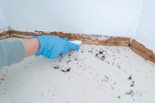 Best Pest Prevention Services  in Wheelersburg, OH